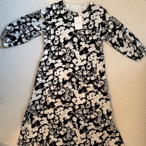 Everlane NWT 100% flax linen dress